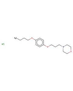 Astatech PRAMOXINE HYDROCHLORIDE; 100G; Purity 95%; MDL-MFCD00054323